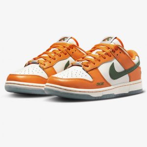 Nike Dunk Low Florida A&M