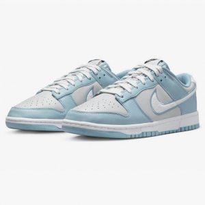 Nike Dunk Low Worn Blue