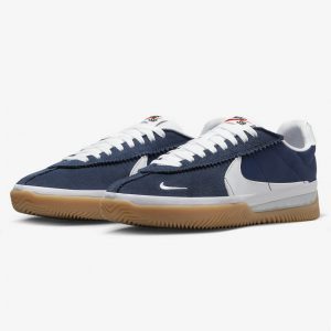 Nike Sb Blue Ribbon